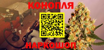 a pvp Шелехов