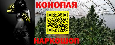 соль ск Шахты
