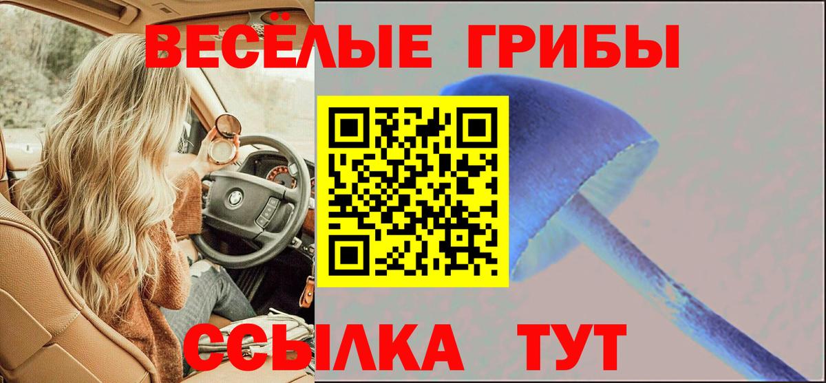 Псилоцибиновые грибы MAGIC MUSHROOMS Красный Сулин