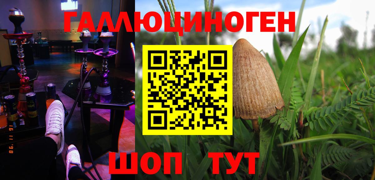 Галлюциногенные грибы мицелий  Псилоцибиновые грибы мицелий  Вход с VPN  Красный Сулин 
