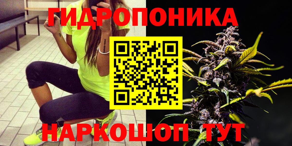 Шишки марихуана гибрид Красный Сулин
